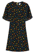 Bird Print Dress by Sonia Rykiel
