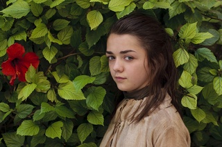 Maisie Williams